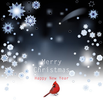 Christmas Background with Red cardinal.
Vector illustration of stars and snowflakes shimmering in the magic night.
