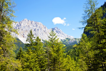 Beautiful mountains and trees near Biberwier, Tirol, Austria