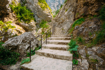 Beautiful Trail, Path, Way, Mountain Road In Verdon Gorge In France