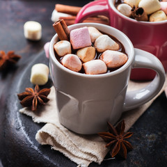 Hot chocolate with marshmallows and spices on grunge dark table
