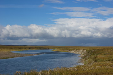 Fototapeta na wymiar Small Usa river flows amongst the autumn tundra. Journey through the Polar Urals.