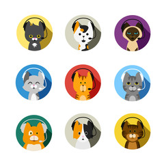 cat with phone headset