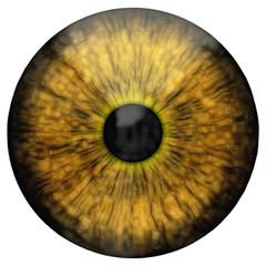 Eye, abstract digital illustration