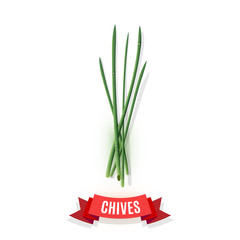 Chives stems and comic shaded ribbon banner