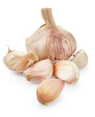 Garlic isolated on white background