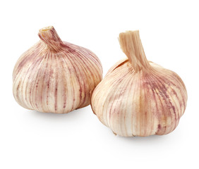 Garlic isolated on white background