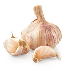 Garlic isolated on white background