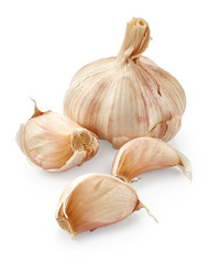 Fototapeta premium Garlic isolated on white background