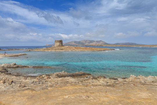 Isola della Pelosa