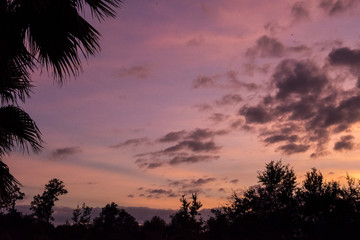 Fototapeta na wymiar Summer Sunset