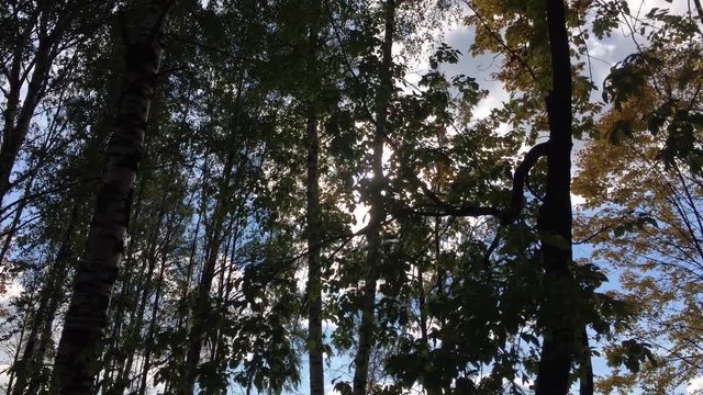 Времена года - осень
