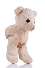 Toy bear with adhesive bandages on his private parts hands behind back