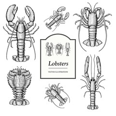 Lobster Illustrations in a vintage style
