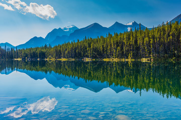 Herbert Lake, Banff National Park, Alberta, Canada - obrazy, fototapety, plakaty