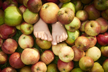 Children's feet hidden in a pile of apples