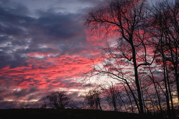 Obraz na płótnie Canvas Red Sky at Dawn