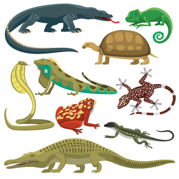 Reptiles animals vector set.