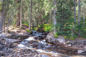 Stream