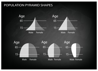 Different Types of Population Pyramids on Chalkboard Background