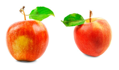two apples with green leaves on a white background