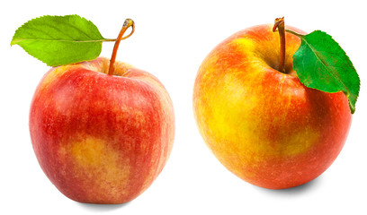 Two red apples with leaves on a white background