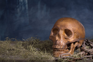 Human Halloween Skull With a Spooky Dark Background