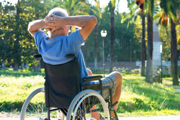 man on wheelchair relaxing in a park