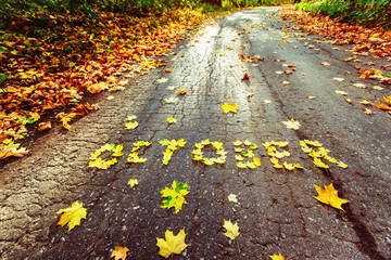 Word October written with autumn yellow maple leafs at road