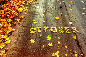 Word October written with autumn yellow maple leafs at road