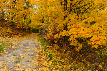Złota jesień w parku © Zbigniew