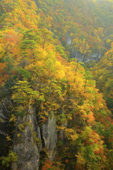 鳴子峡の紅葉