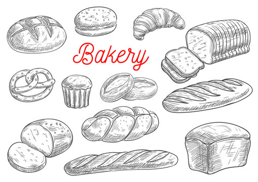 Bread and bakery products vector sketch
