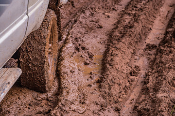 Tire tracks on a muddy road.