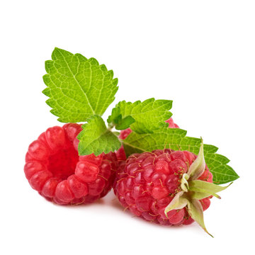 Mint leaf and raspberries