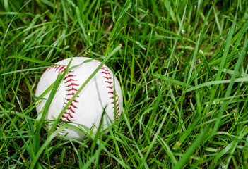 Baseball resting in green grass field.  Athletic equipment used for recreation, fun and competition.