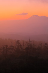 Obraz premium 紅葉の八幡平