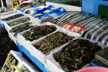 Many kinds of seafood beind sold at the Fisheries Wholesale Market
