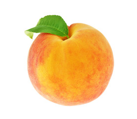 Fresh peach on a white background