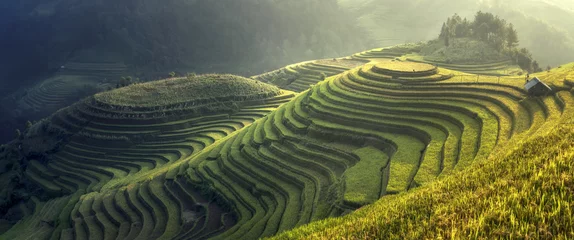Selbstklebende Fototapete Reisfelder Schöne Reisterrassen Mu Cang Chai,Yenbai,Vietnam.Das Symbol
