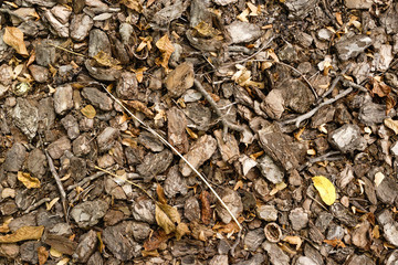 Background pieces of bark mixed