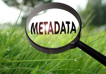metadata