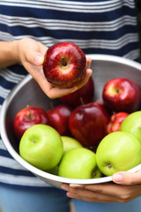 Apple fruit in a bowl