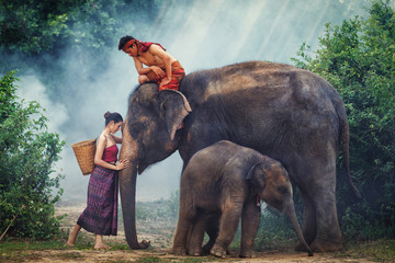 Fototapeta na wymiar Concept of elephant family and asian couple in the jungle