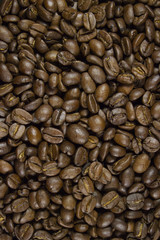 Fototapeta premium Coffee Beans
