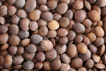 Legumes of Sacha inchi or Inca peanut.
