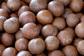 Macadamia nut background