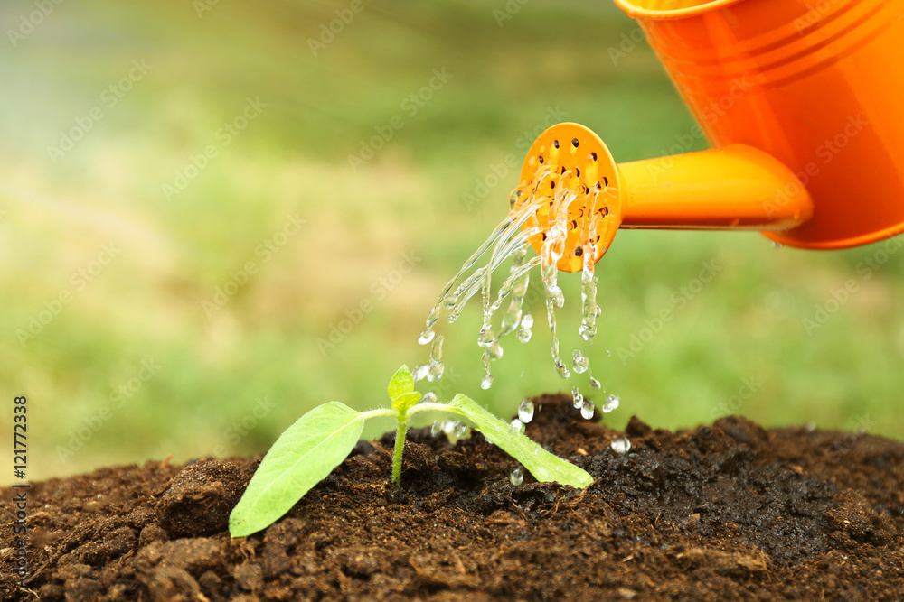 Poster water pouring from watering can on plant in garden