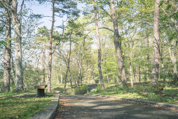 Scenery with the bench / Promenade of Lake Yamanaka