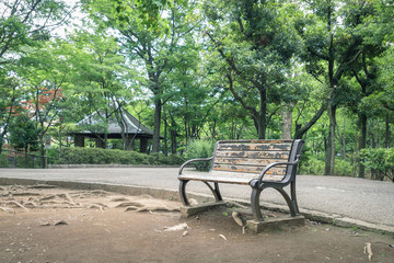 Scenery with the bench / Spring park