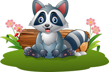 Cartoon raccoon in the forest

